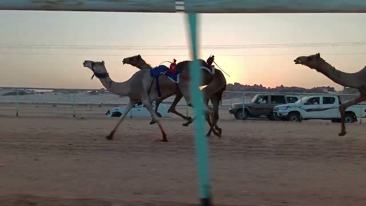سيوف لـ عبدالله فالح البلوي