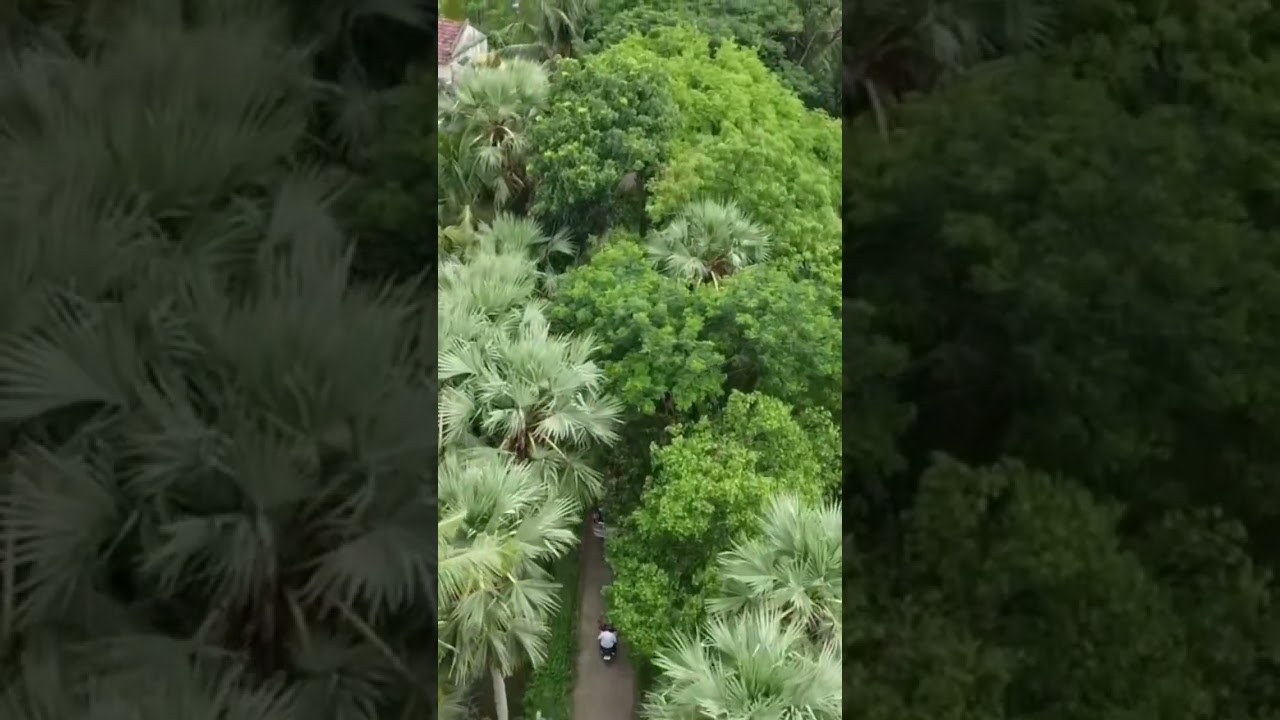 ওই পারেতে বন্ধুর বাড়ি মাঝখানেতে নদী !! Drone view !! Bithika studio