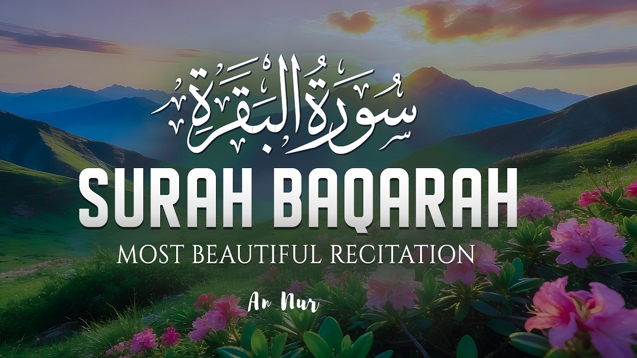 Surah Al Baqarah سورة البقرة | Ultimate Peace & Comfort | Quran for Emotional Healing – By Alaa Aqel