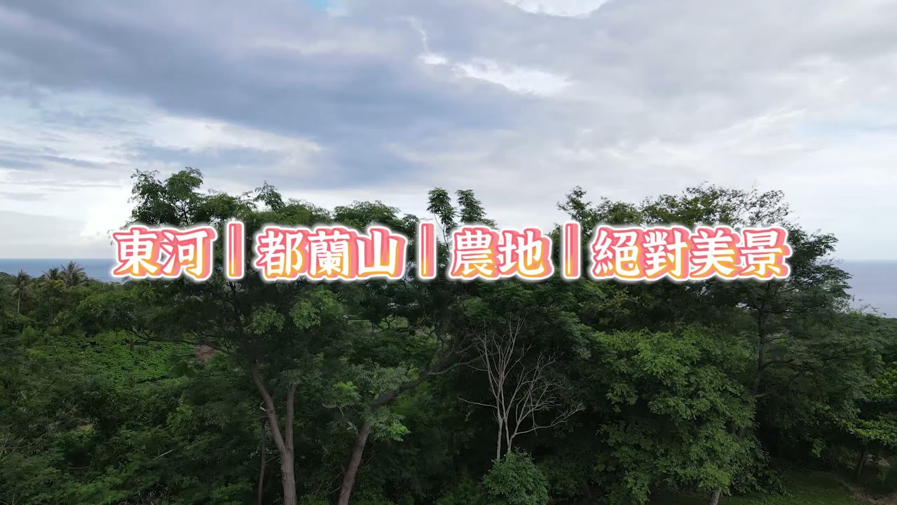 (己出售)【台東都蘭】都蘭秘境美景綠建築農地