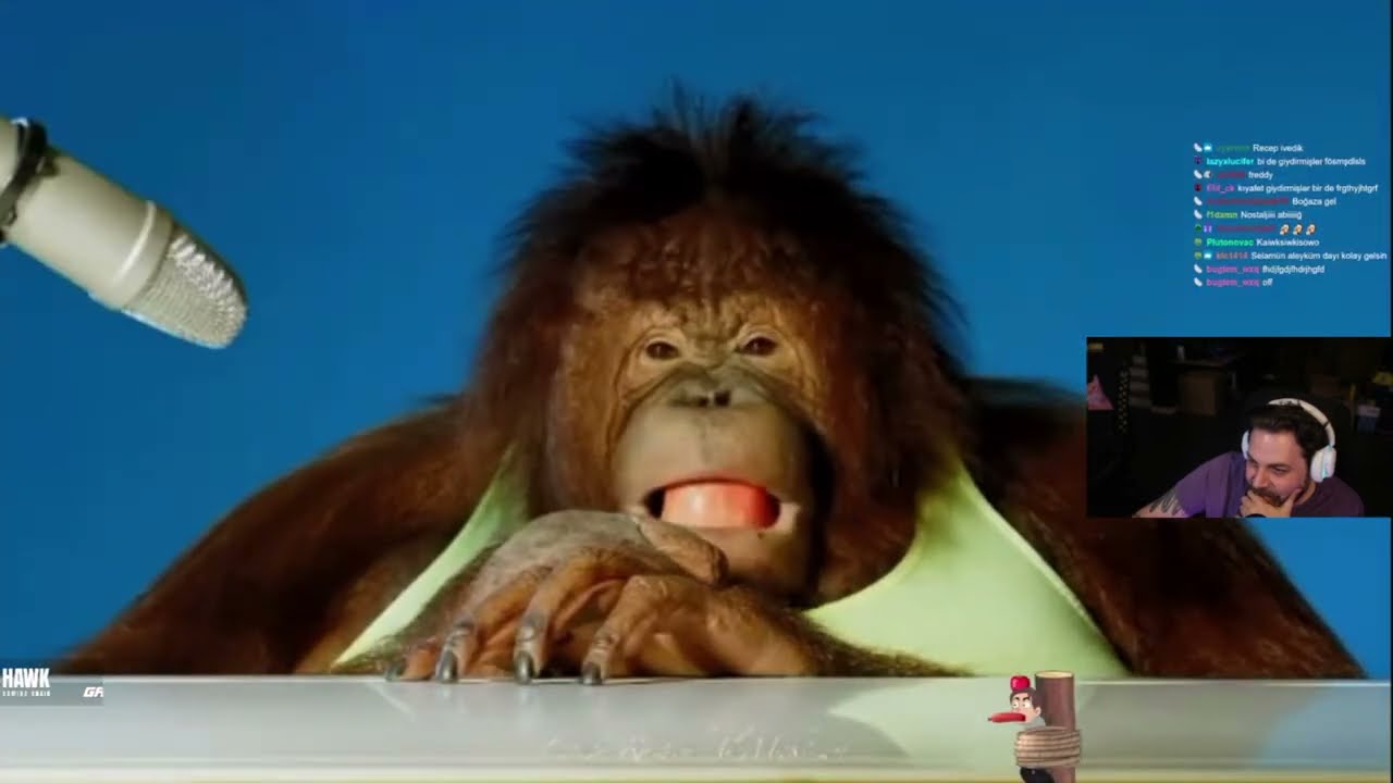 Elraenn | Orangutan  asmr ' ler izliyor.