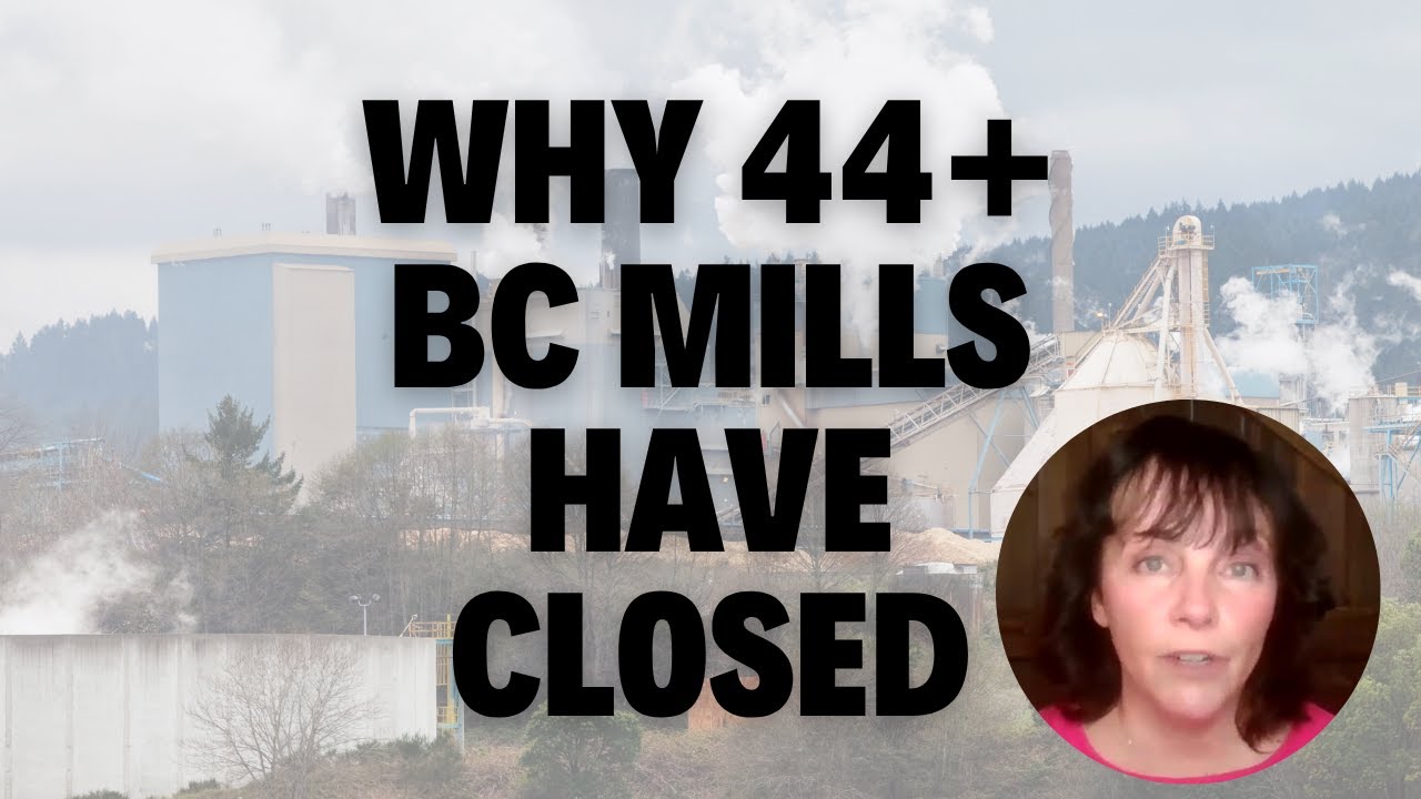 The Real Reason B.C.&rsquo;s Mills Are Shutting Down: The Wood Is Gone