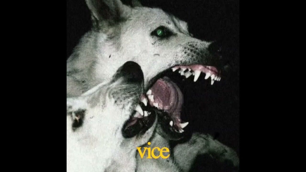 (free) alternative rock + heavy shoegaze + nu metal type beat 