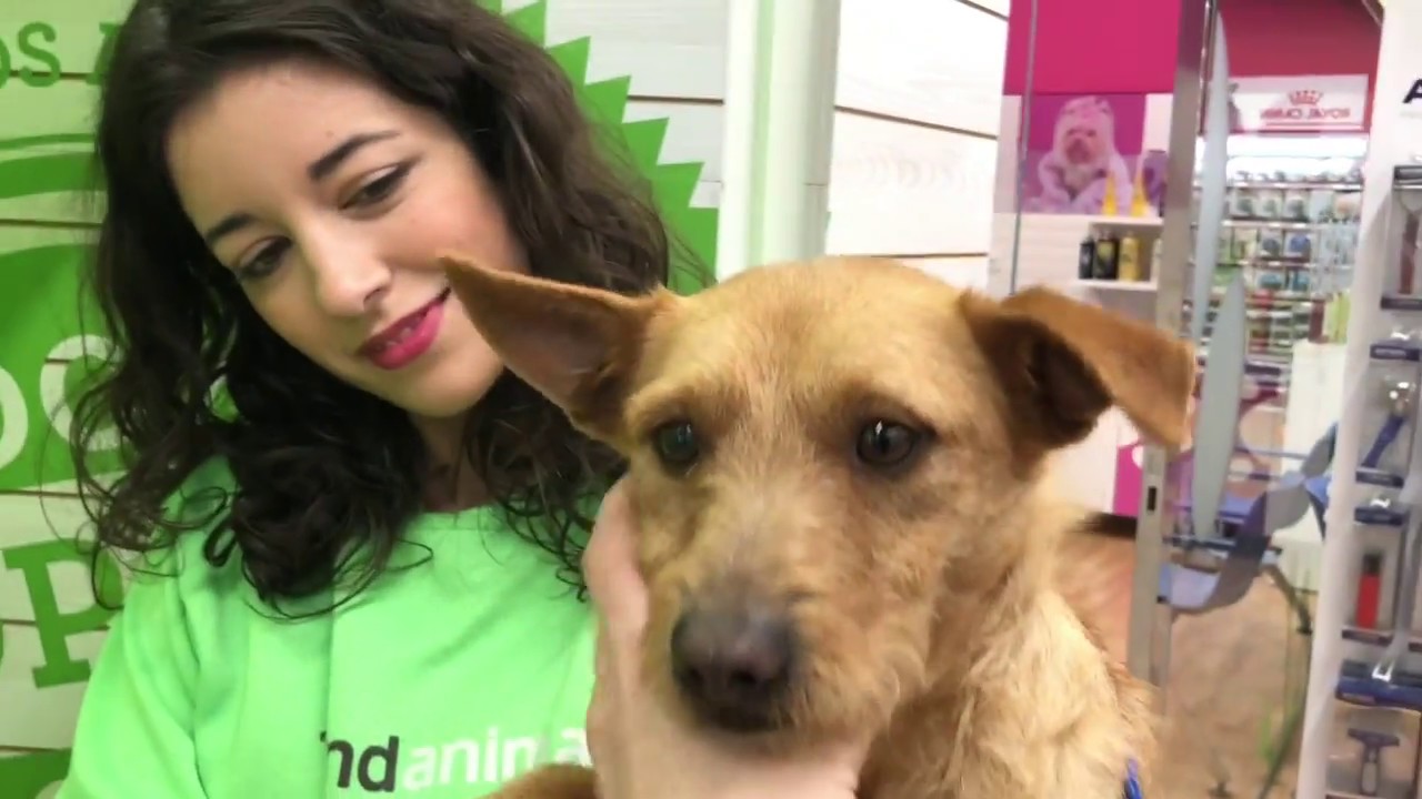 Nuestro Tofu en Tiendanimal. Protectora El Buen Amigo