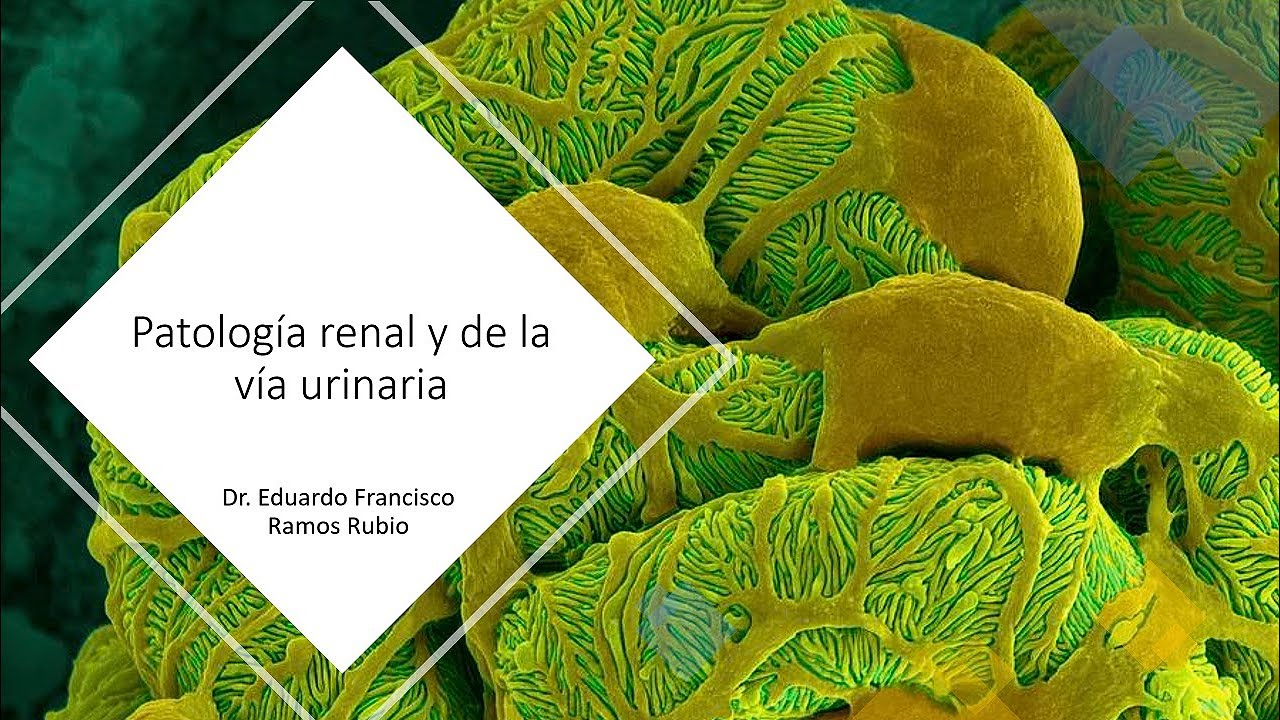 Patología renal y de la vía urinaria