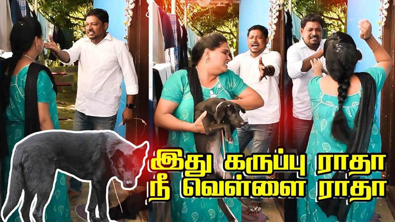 நாய் ன்னு சொல்லாத ராதா ன்னு கூப்பிடு | PRANKRAVIRAJ | RAVIRADHA | DOG PRANK | #prankraviraj #comedy