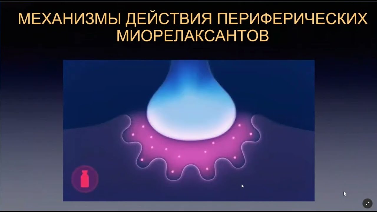 Мониторинг нейромышечного блока Зайцев А.Ю. 2023