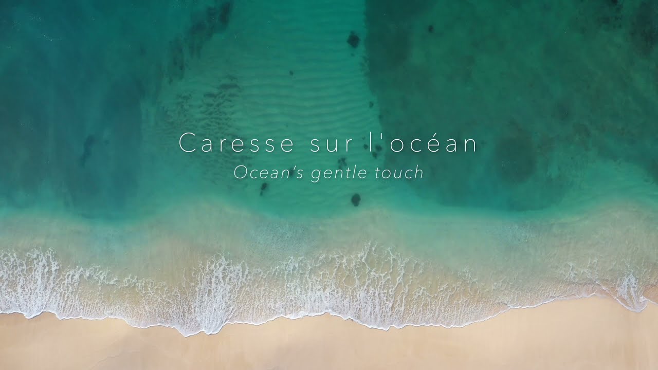 Caresse sur l'Océan - Violin Reprise