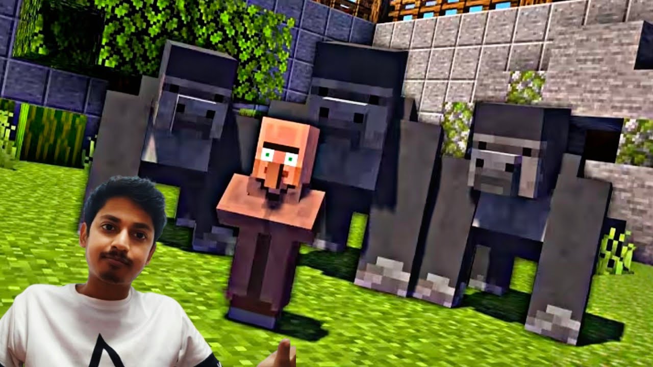 Minecraft zoo villager