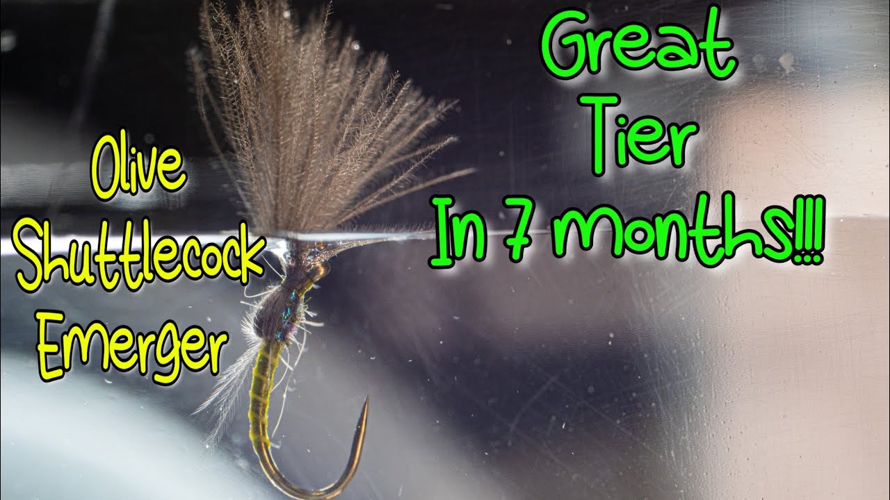 Olive Shuttlecock Emerger (Analysis of flies)