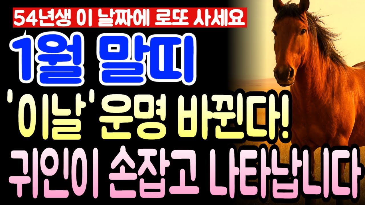 갑오년생 말띠 2026년 1월 운세 1954년생 72세 천운 받는다! 금전 폭주하며 부의 파도 몰려오는 한 달, 말띠 천금 쓸어담는 대박 흐름 여기서 공개합니다.