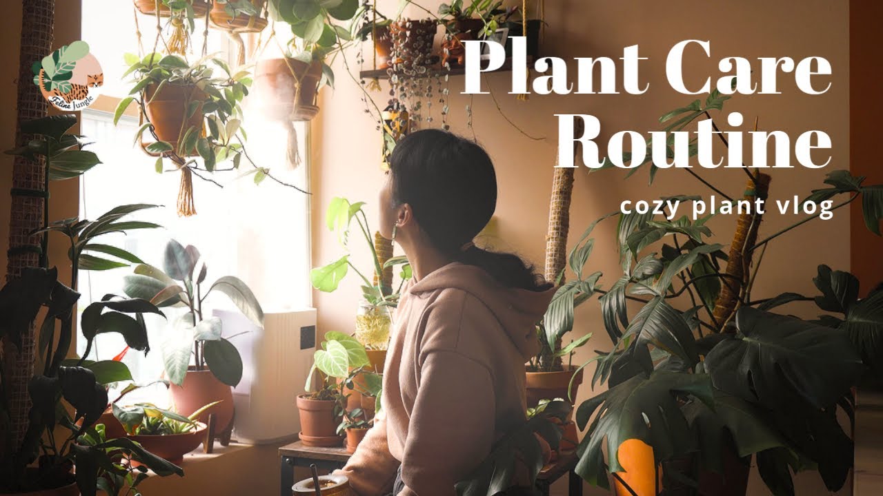 Cozy at-home gardening vlog | watering 150+ indoor plants tour, winter plant care, packing orders