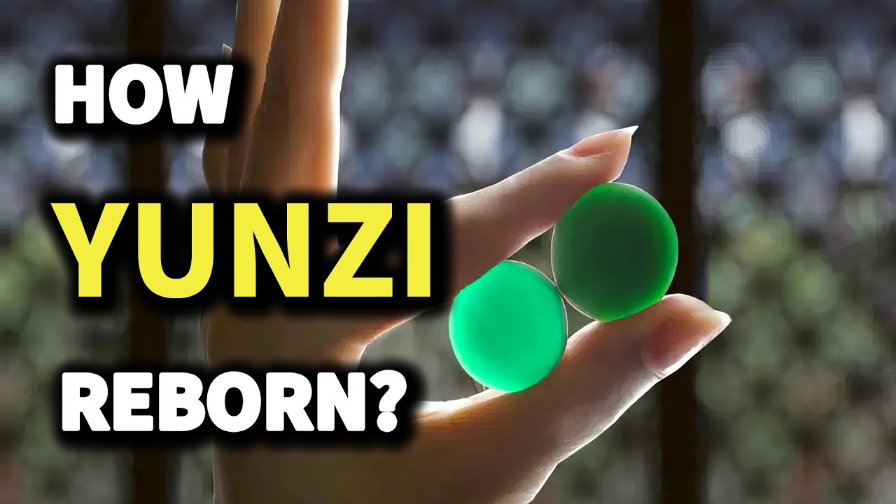 How Yunzi Reborn 2?