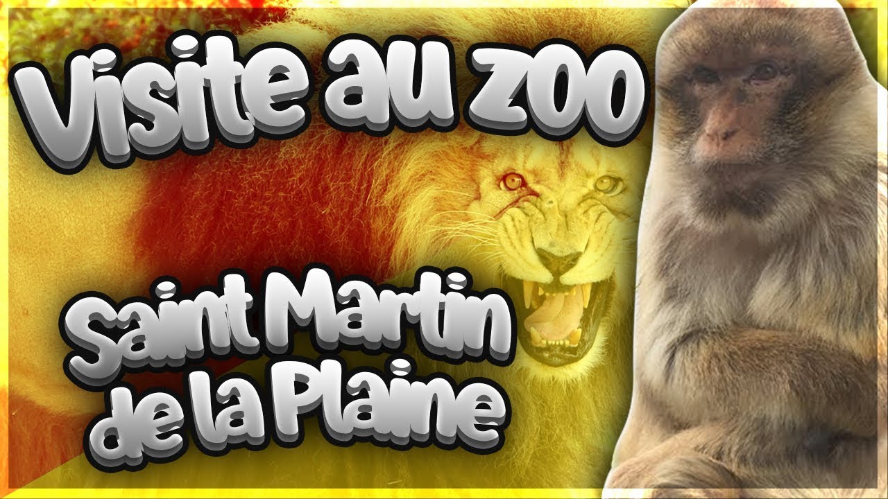 Vlog - Visite au Zoo de Saint Martin de la Plaine