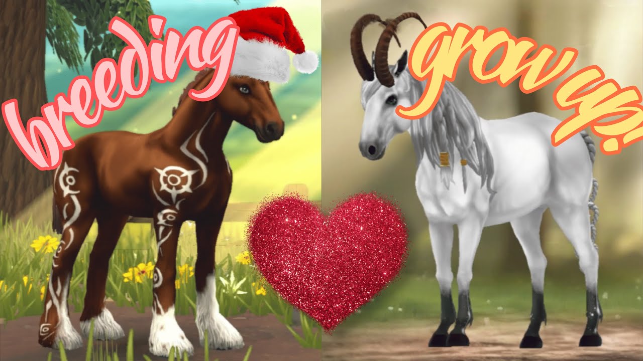 ВЫРАЩИВАЮ ЖЕРЕБЁНКА!!🐎 Новый Breeding в Star Equestrian!🎄