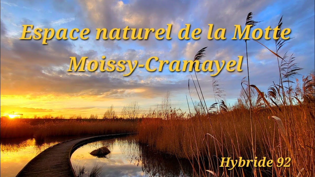 Espace naturel de la Motte, Moissy-Cramayel (77) & Neo 2