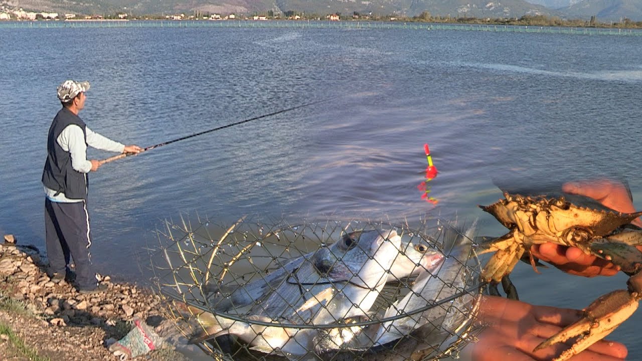 Pecanje na plovak na ušću reke Drim u Jadransko more - Albanija I deo | Float fishing at sea