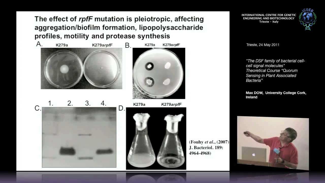 M. Dow - The DSF family of bacterial cell-cell signal molecules