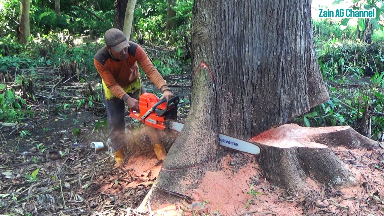Бензопила Husqvarna 395 XP Big Mahogany Cutting