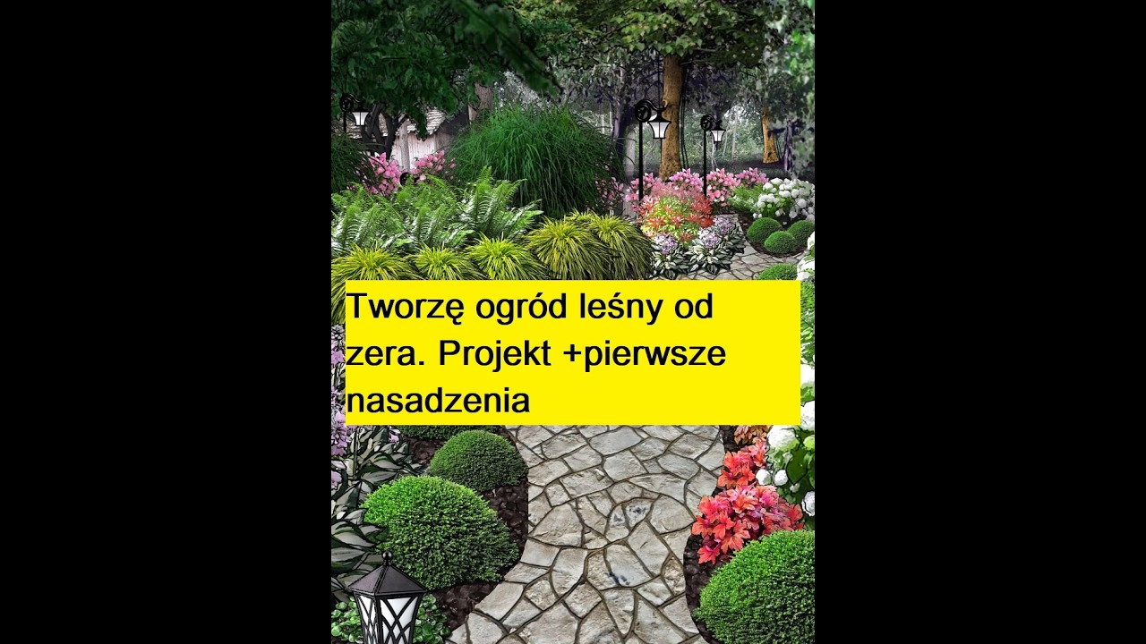 Tworzę ogród leśny od zera. Projekt +pierwsze nasadzenia. #ogródleśny #zakładanieogrodu