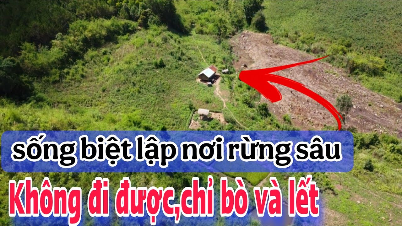 Vợ chồng già sống ẩn dật nơi rừng sâu.thường xuyên nghe tiếng Hổ GẦM.