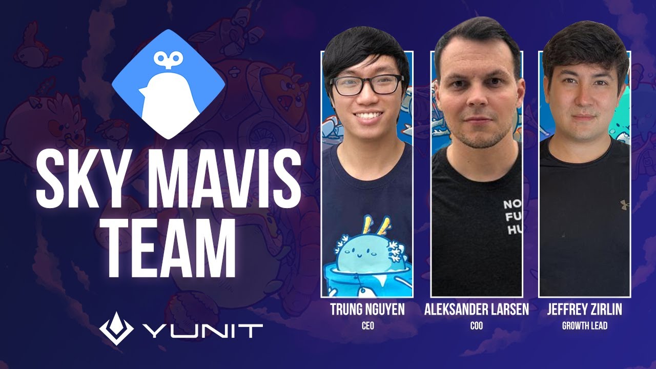 Axie Infinity Sky Mavis Team - Vision and Partnerships