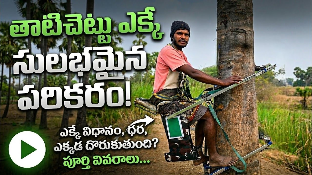 తాడి చెట్టు ఎక్కే పరికరం (multy tree climber) యొక్క పూర్తి వివరణ🌴👍