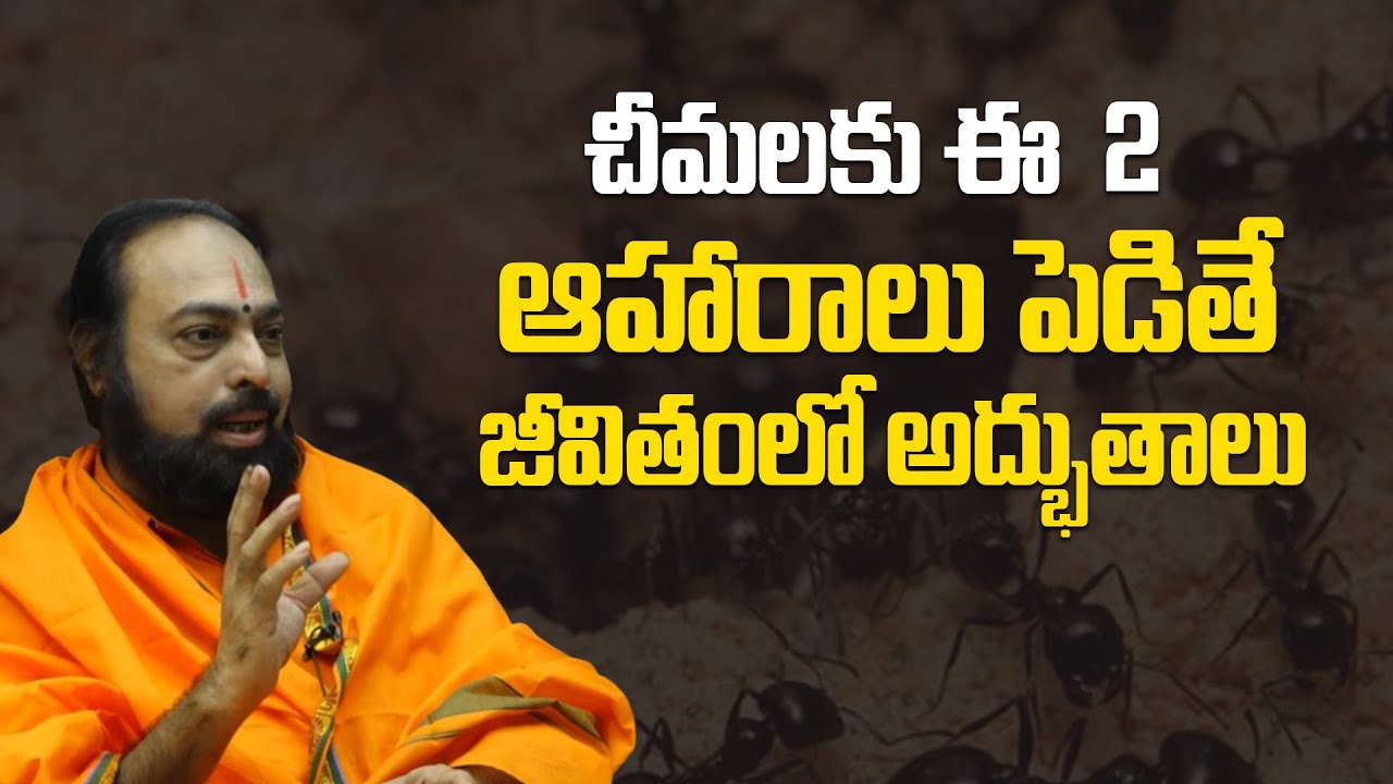 చీమలకు ఇవి 2 ఆహారాలు పెడితే జీవితంలో అద్భుతాలు | Life-Changing Tips By Sri Devi Das @Sree Niravi Tv