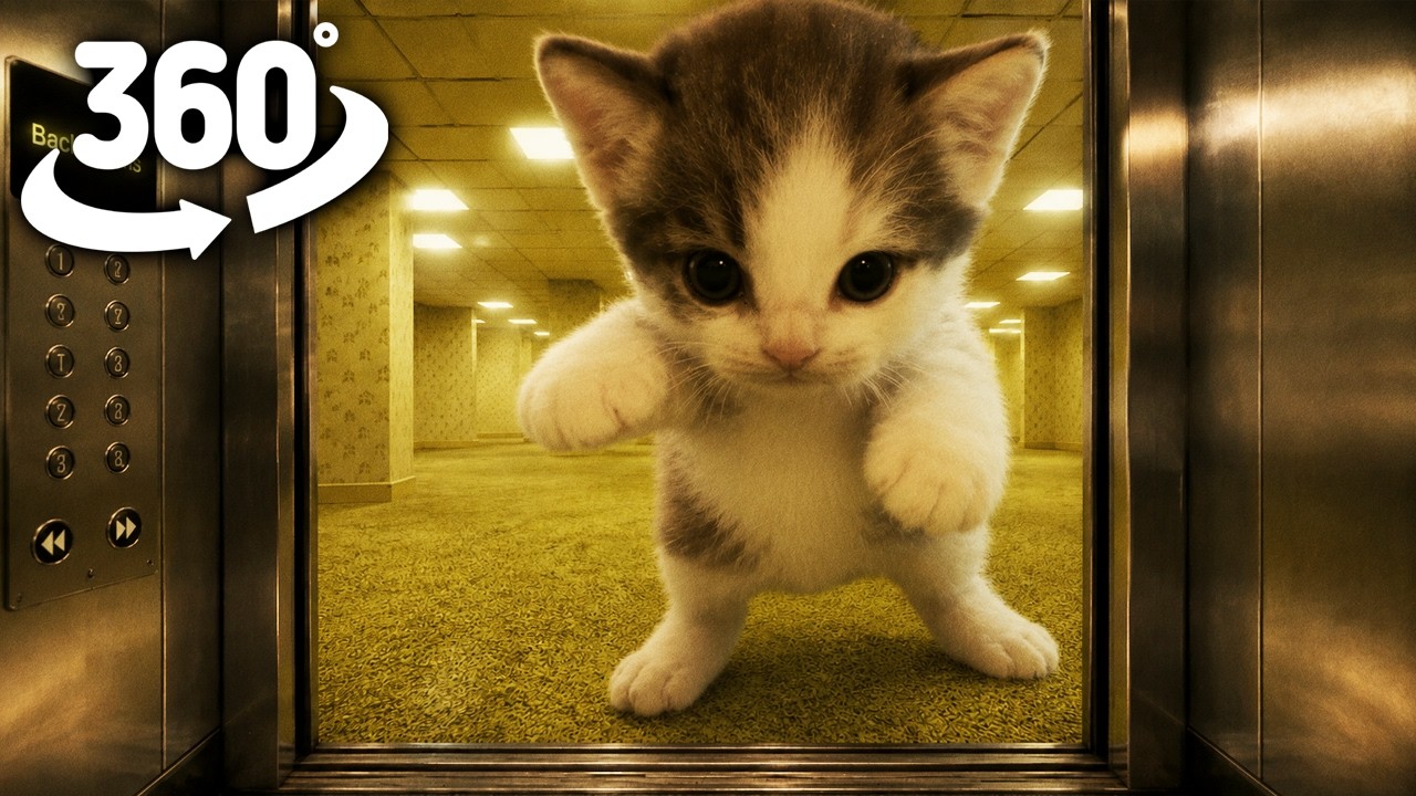 Horror Elevator to the Backrooms | ScubaCat | 360&deg; VR