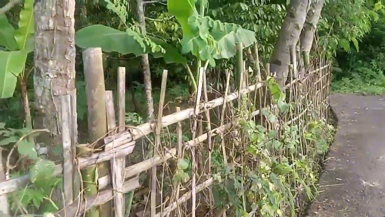 Sekitar Rumah