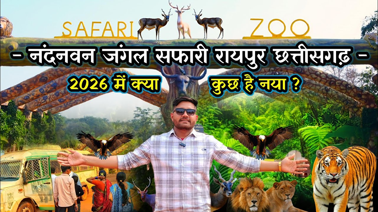 नंदनवन जंगल सफारी रायपुर // 800 एकड में फ़ैला हुआ जंगल सफारी Full Vlog Vidio #raipur #tiger #vlog 