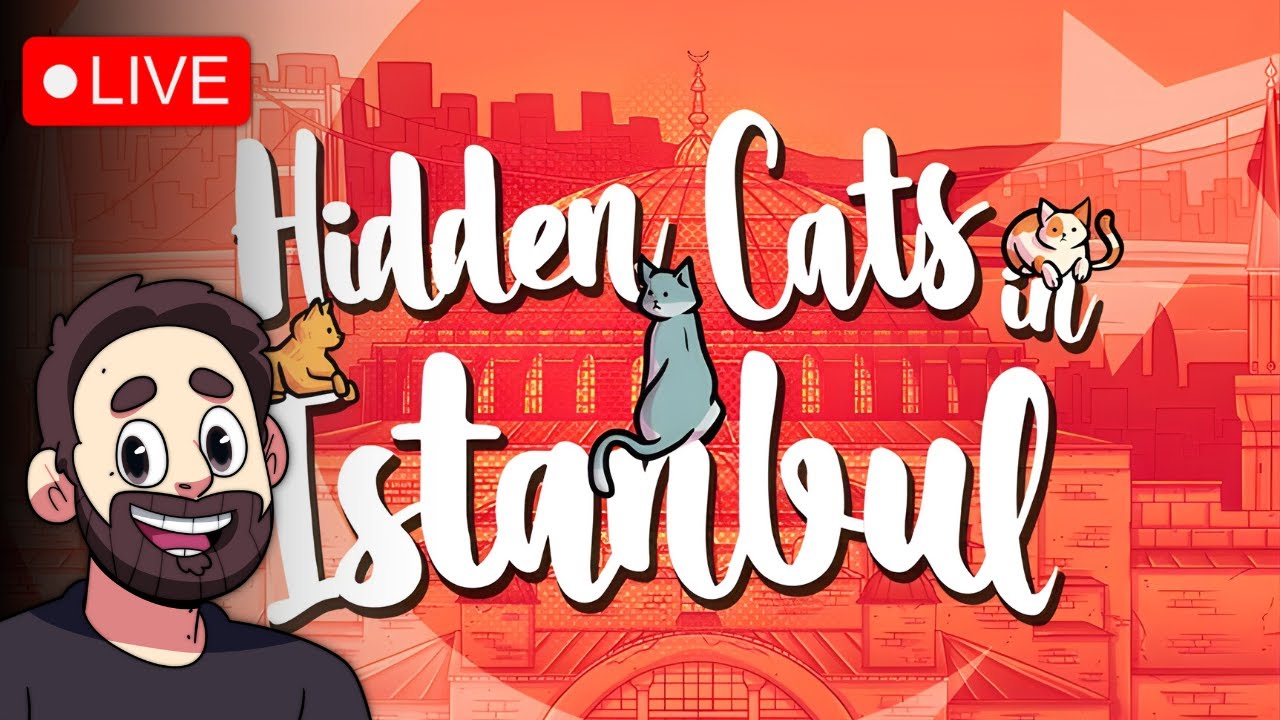 Hidden Cats in Istanbul - Can We Find Them All?