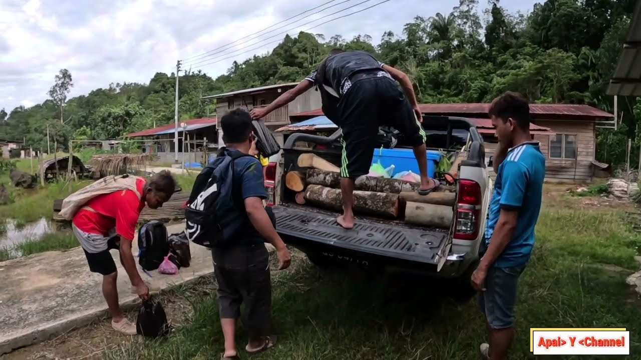 Nganjung Pulai Bala Staring Tukang Tumbang Ke Lemanak