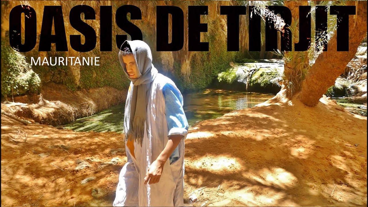 Mauritanie | Oasis de Terjit