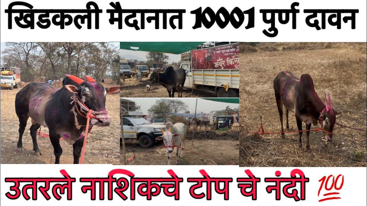खिडकली मैदानात 1001 पुर्ण दावान 🔥