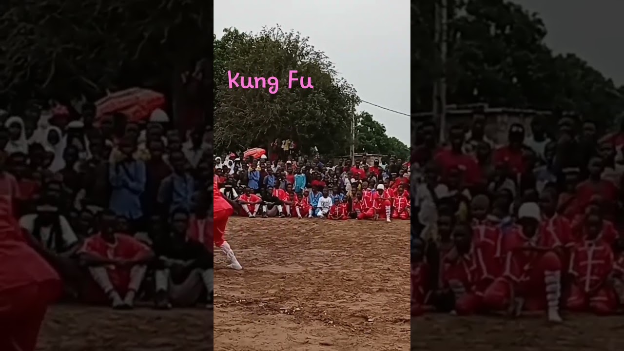 Gambia: Kung Fu Presentation!       #1 REPAT Podcast AA Exit the Matrix #anchor.fm/anjaafreeca