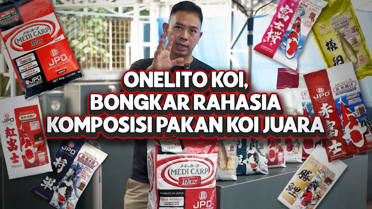 ONELITO KOI, BONGKAR RAHASIA KOMPOSISI PAKAN KOI JUARA!!