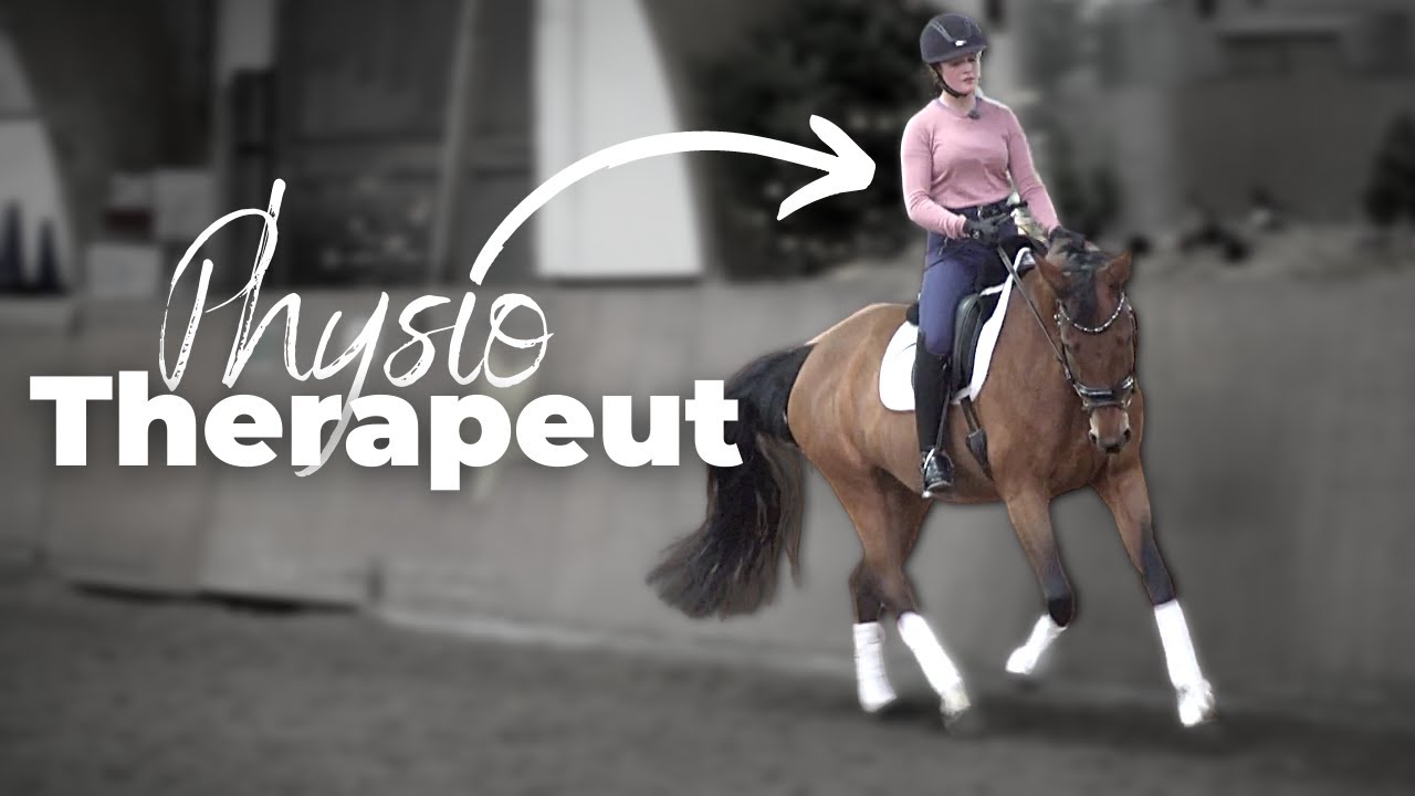 ✨So löst Du Dein Pferd richtig!✨| Eine abwechslungsreiche Aufwärmphase gestalten 🐴