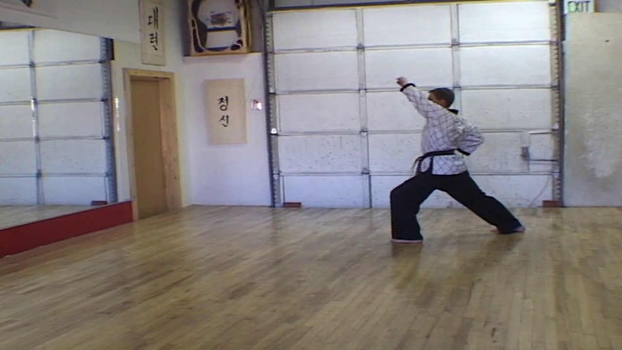 Hapkido vol2
