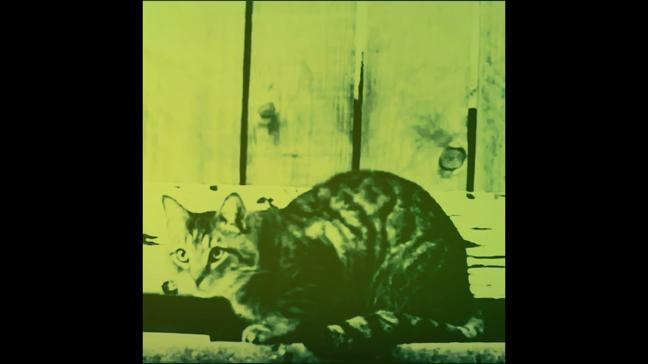 Makeout Videotape - Because I’m a Boy