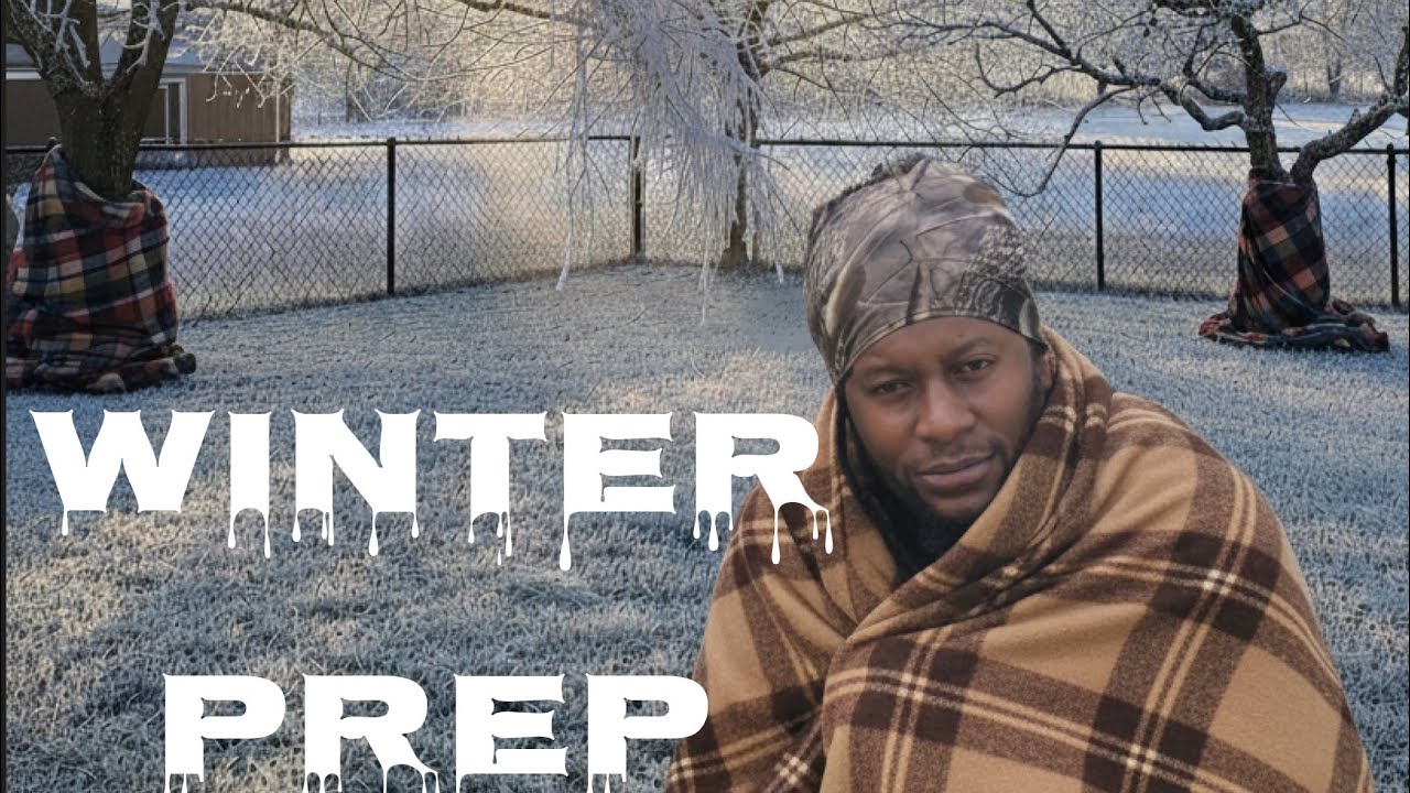 Protect your trees Before the Freeze 