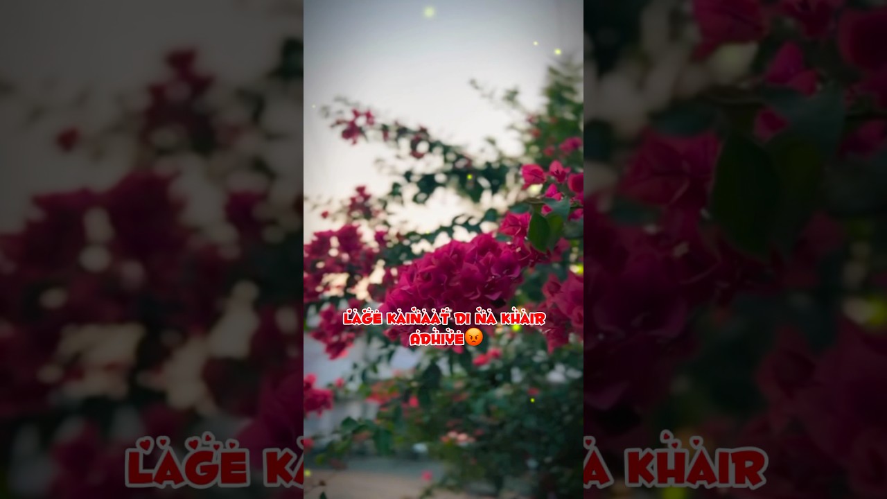 Lage Kainaat Di Na Khair Adiye 💔 | Ishqan De Rog - Deep Chambal | 