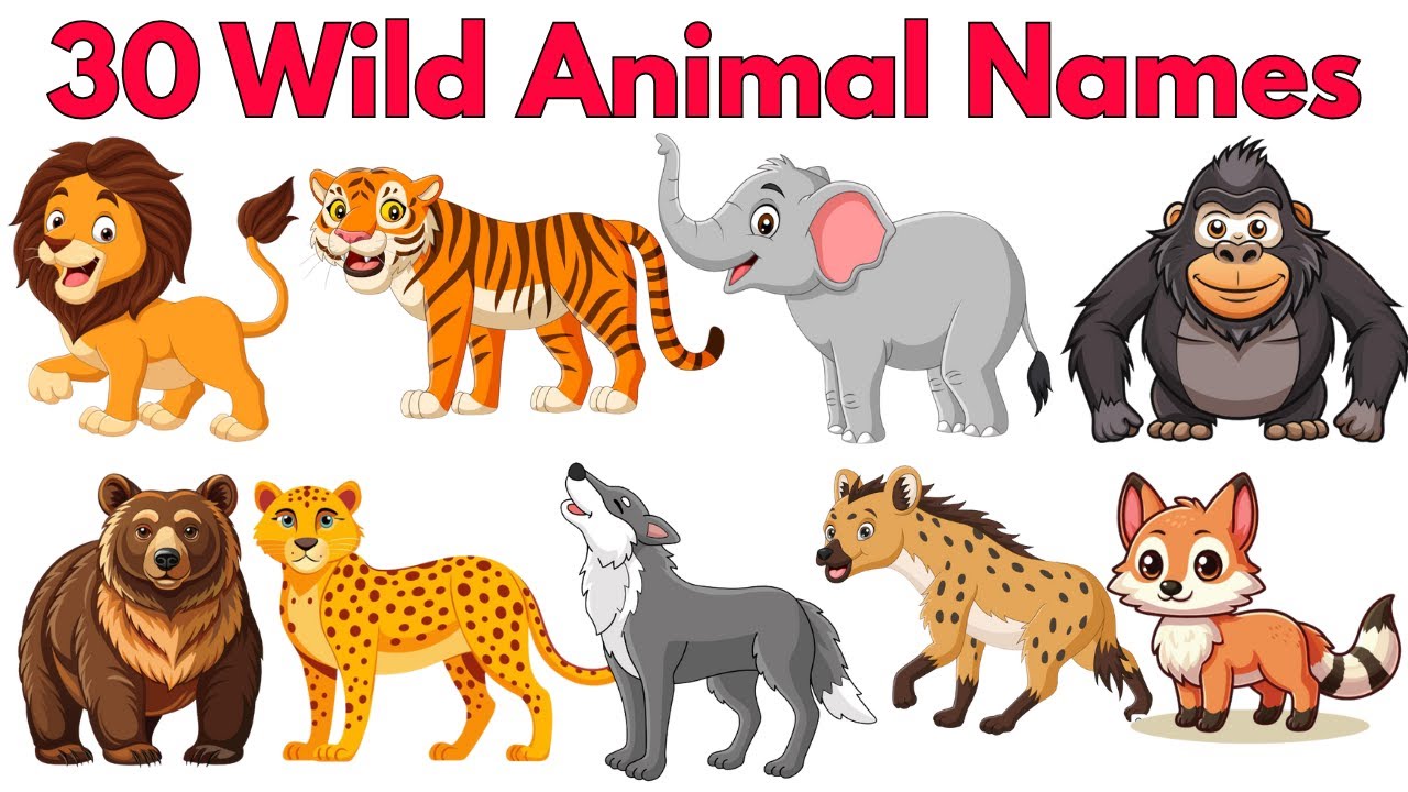 Wild Animals Vocabulary for Kids 🦁 | Learn Animal Names, Sounds & Fun Facts | Happy Hug Time