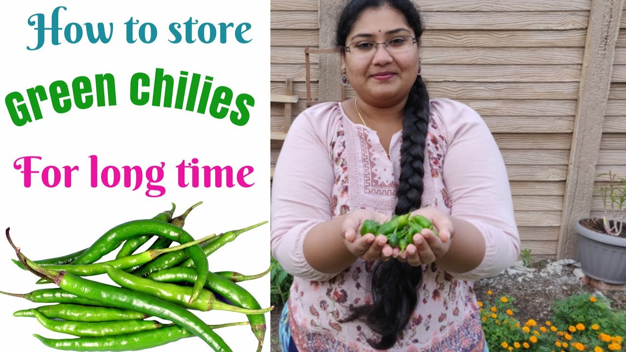 How to store Green chilies for long time | Upto 1 Year | 100% WORKS |  Preserve Frozen green chilies