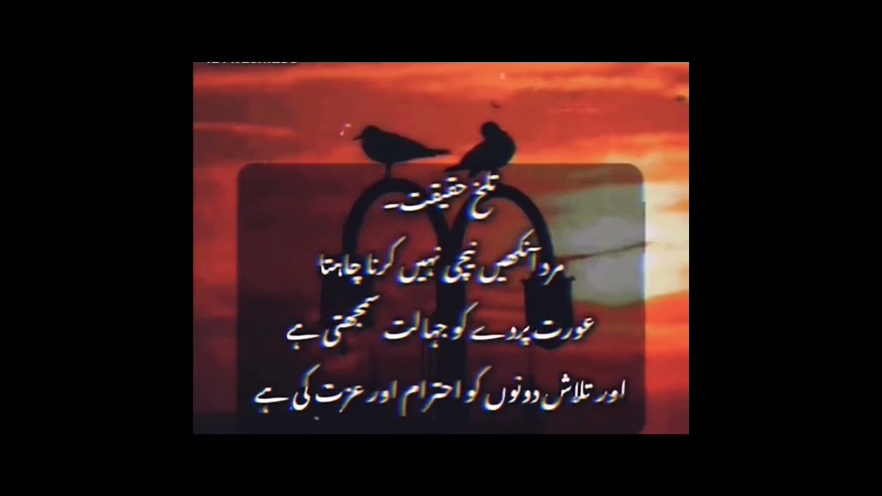 Talkh haqeeqat|understanding message for Muslims|#shorts #like #comments #subscribe