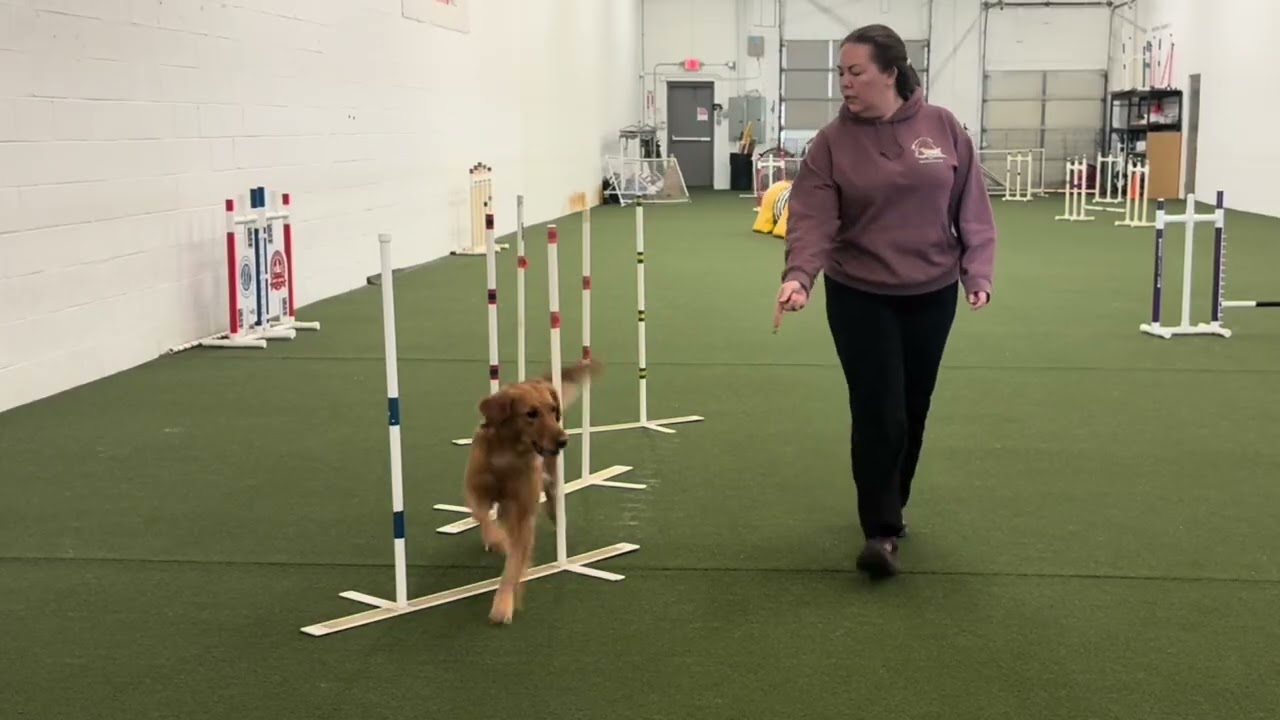 Rory - jump & weave training 