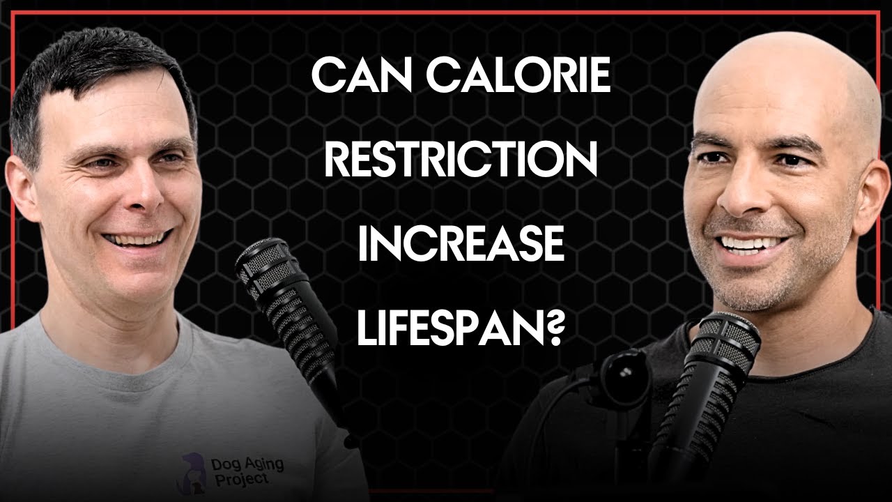 Can calorie restriction increase lifespan? | Peter Attia and Matt Kaeberlein