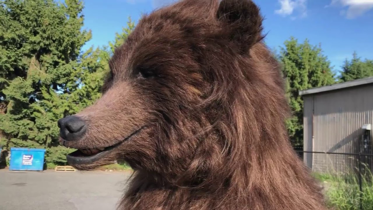 Charlie The Brown Bear - Animatronic Brown Bear Suit