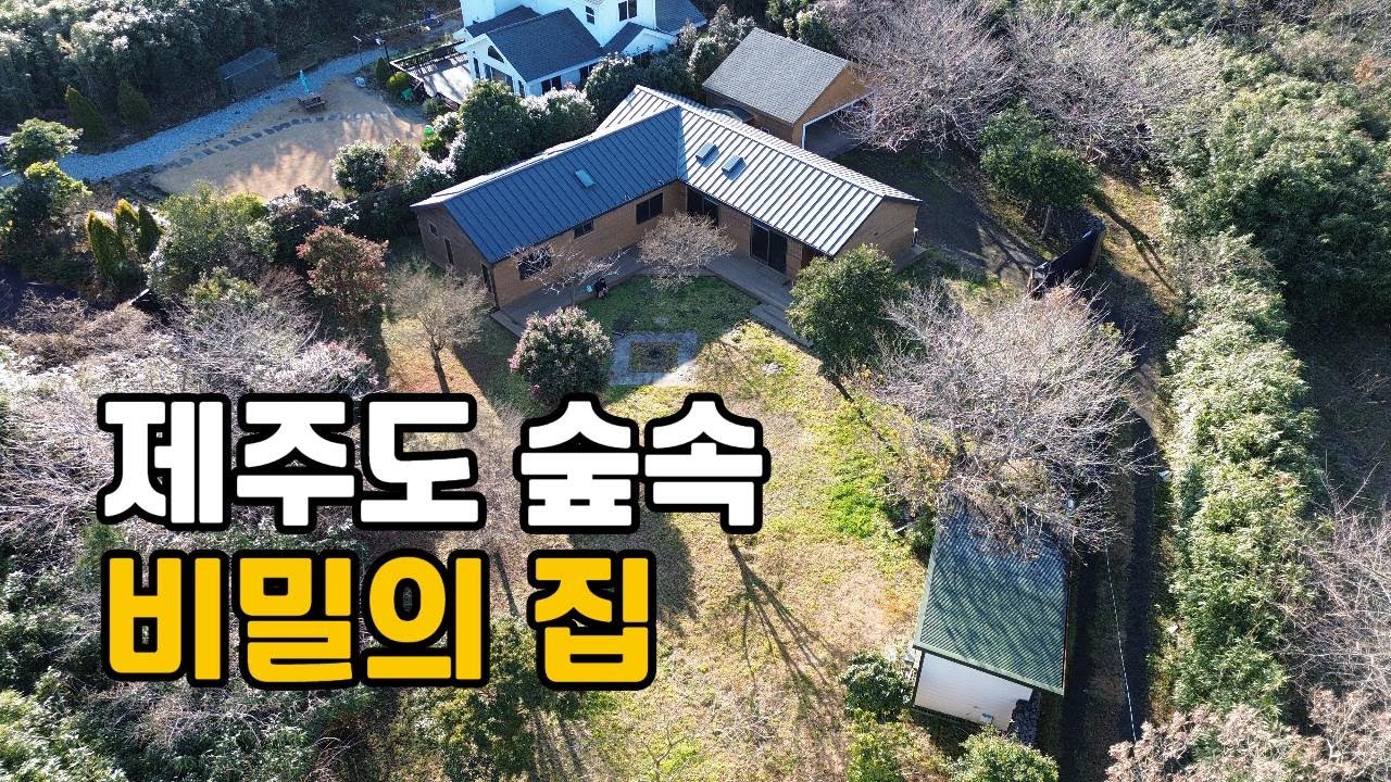 제주 조천 선흘리 569평 완벽한 프라이버시 햇살 좋고 마당 넓은 집 / 본채·별채 고급주택 [B-2709] #제주도단독주택 #제주도고급주택 #제주도조천단독주택 #선흘리단독주택