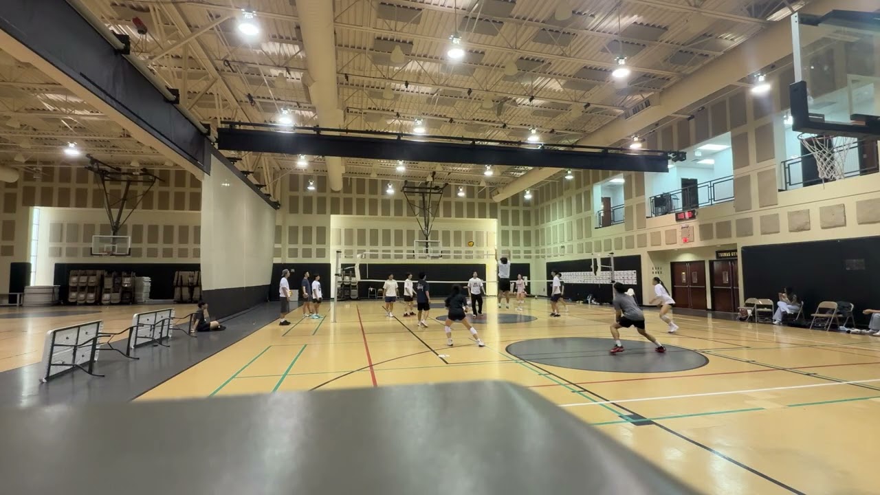 2/8 bingo bango bongo 